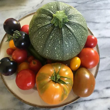 Appartement Les Cypres Vevey