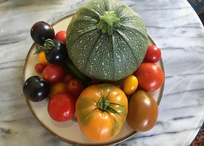 Appartement Les Cypres Vevey